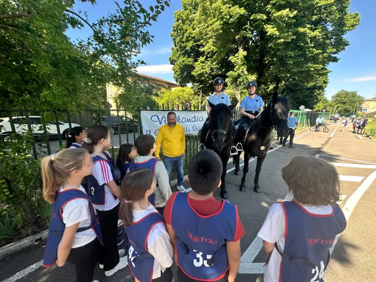 vigilandia 1