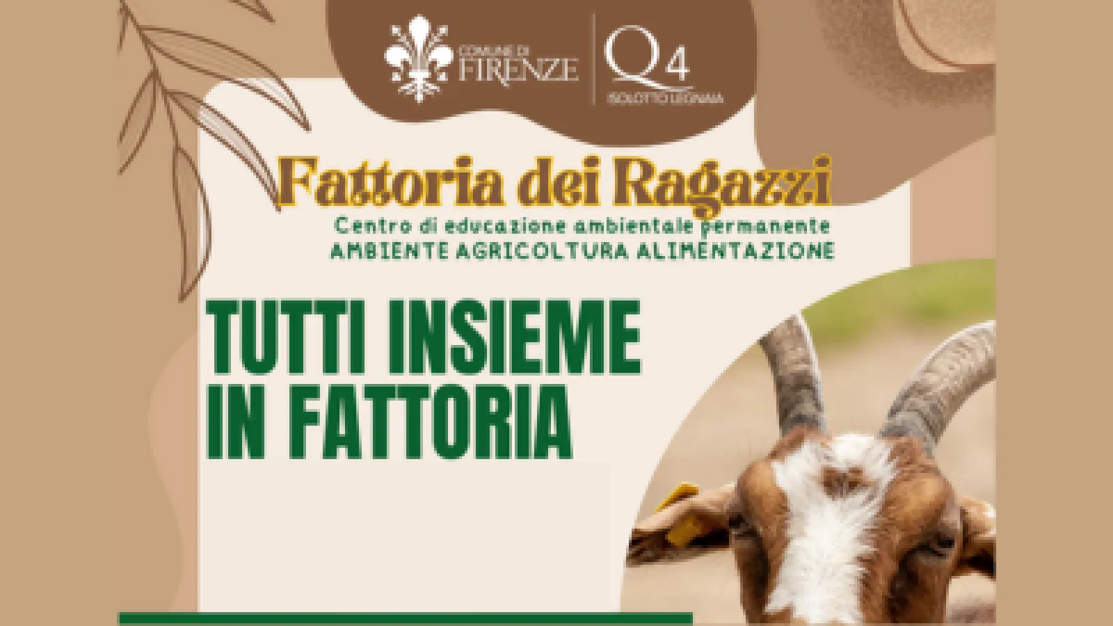 Quartieri