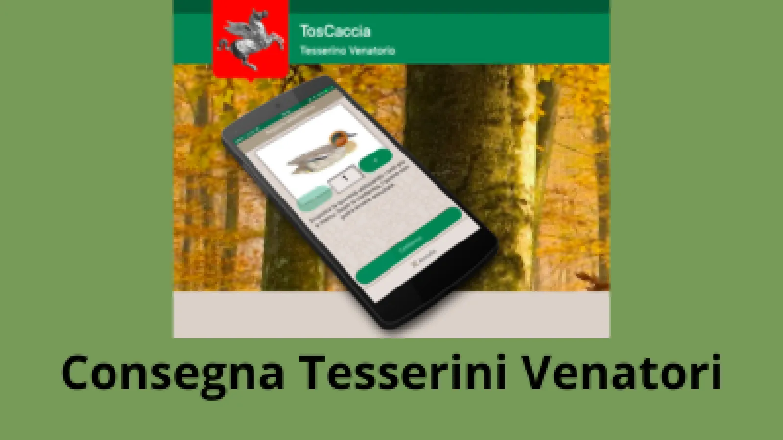 TosCaccia TosCaccia