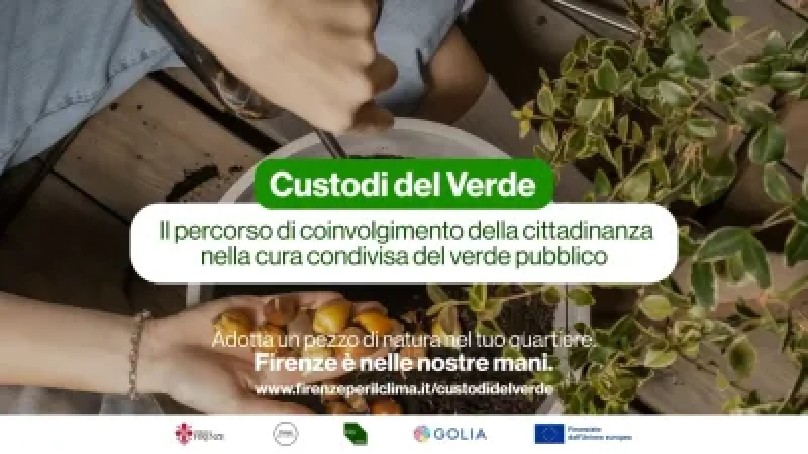 grafica dell'evento
