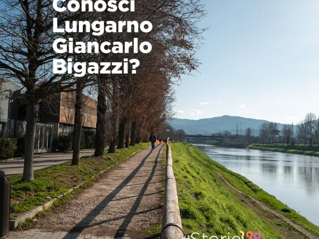 viale bigazzi