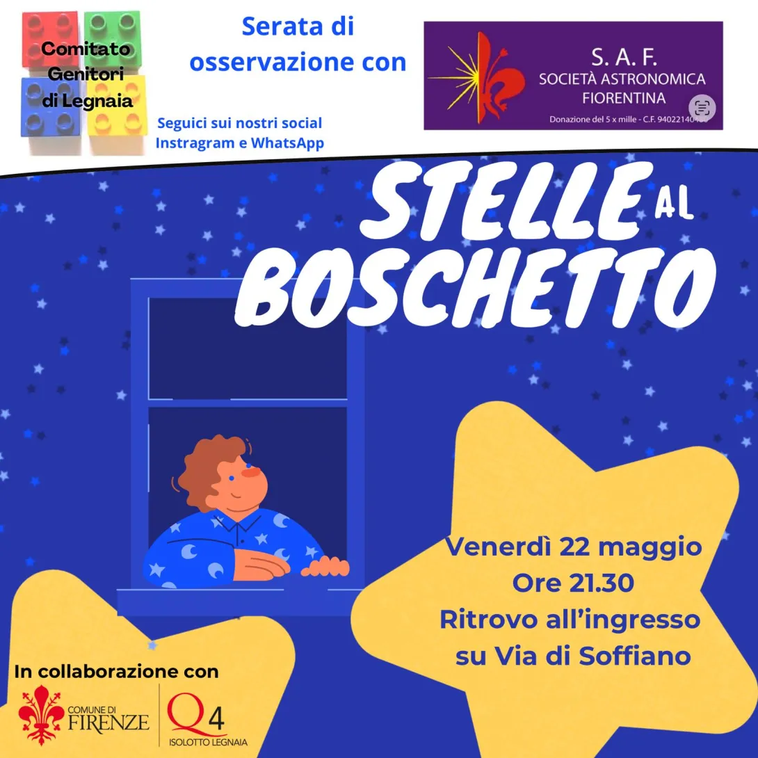 Stelle al boschetto