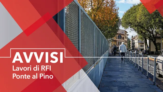 Ponte al pino con passante