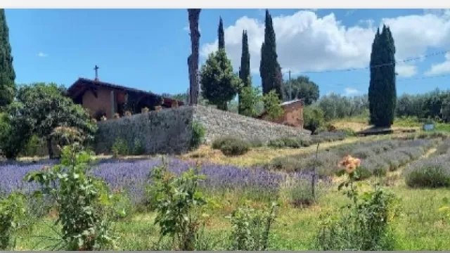 Quartieri