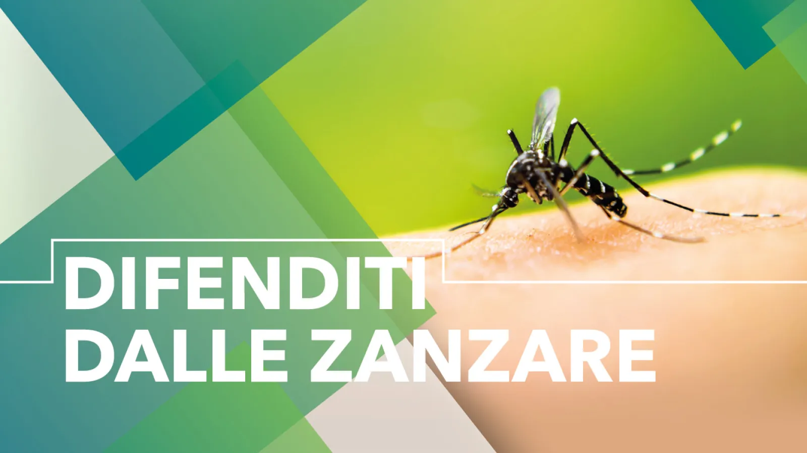 Immagine di una zanzara sopra la pelle con la scritta Difenditi dalle Zanzare
