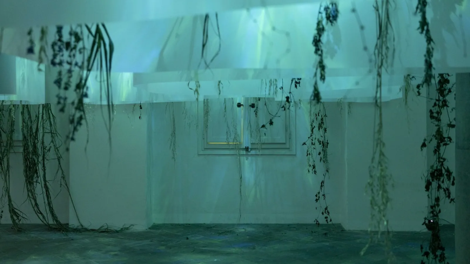 Sulla mostra Dissolvenze