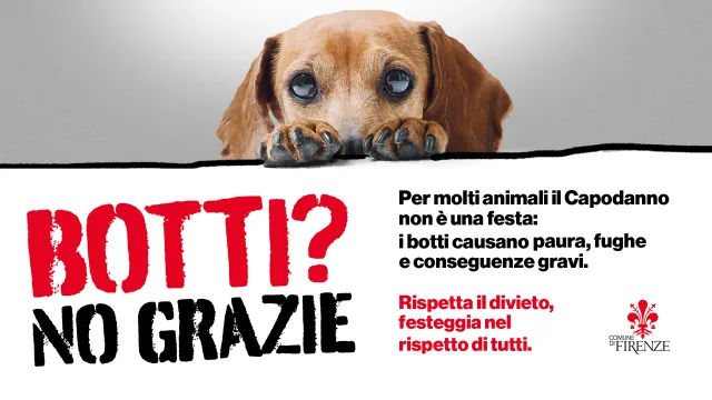 Campagna No Botti Capodanno 2026