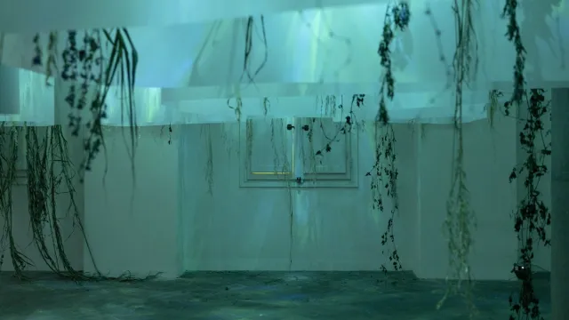 Sulla mostra Dissolvenze