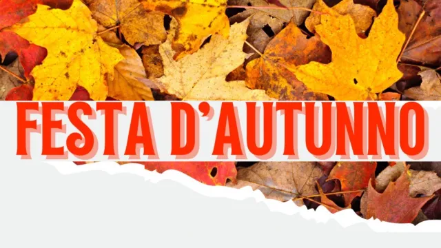 Quartieri