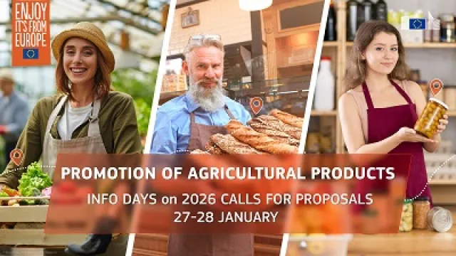 Europe Direct Firenze