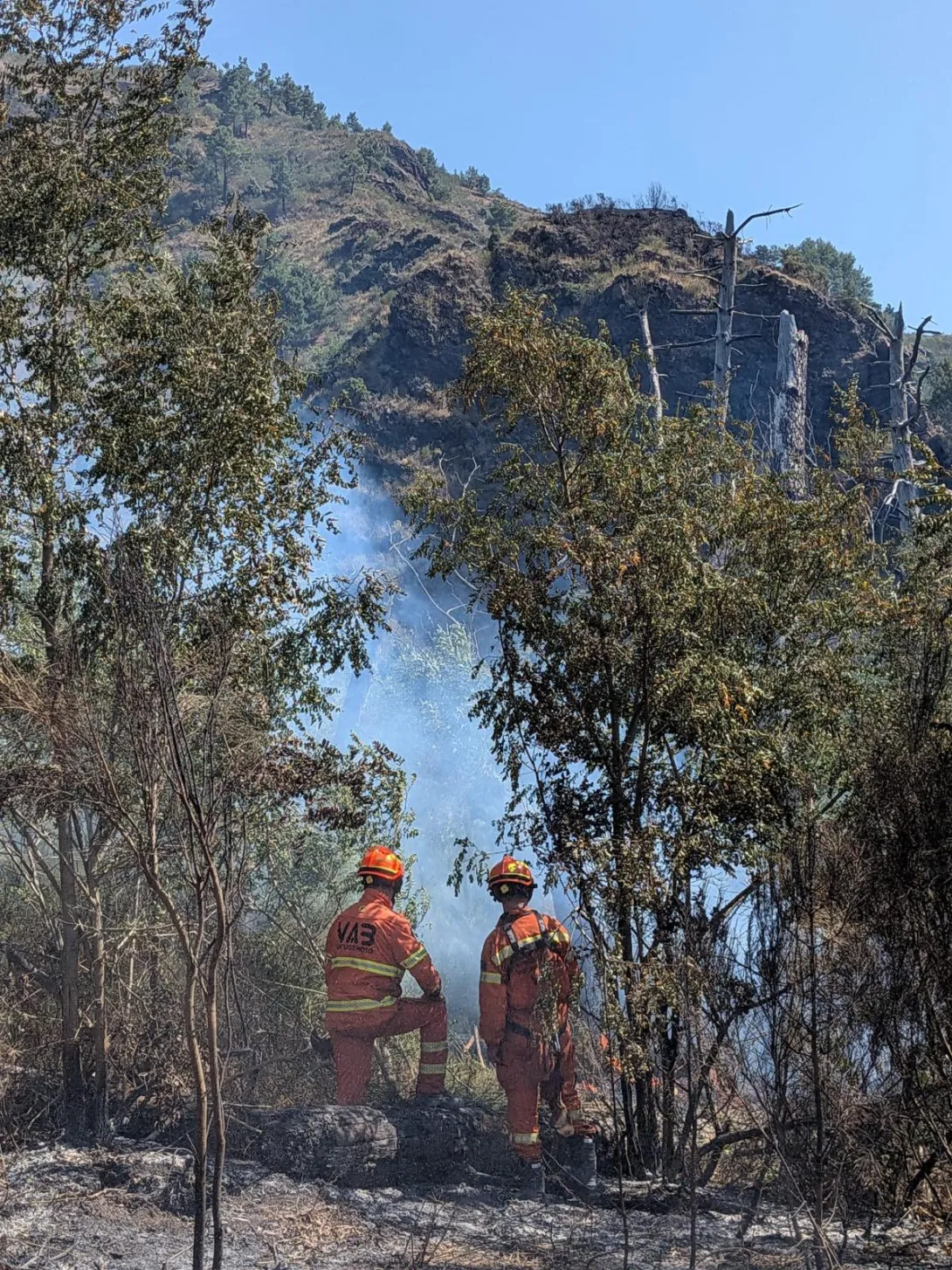 volontari Vab Firenze