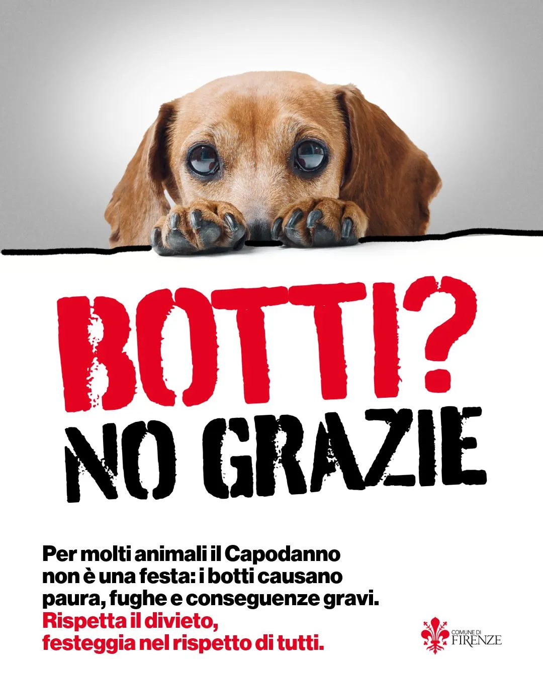 Campagna contro i botti 