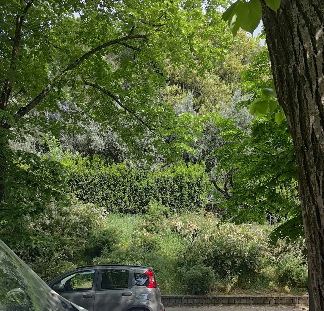 viale righi
