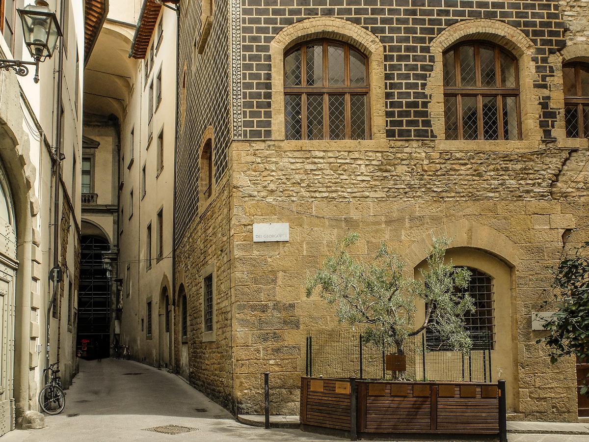 L'ulivo della Pace in via dei Georgofili L'ulivo della Pace in via dei Georgofili
