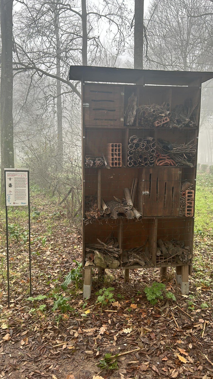 Oggi le Cascine sono meno biodiverse Oggi le Cascine sono meno biodiverse