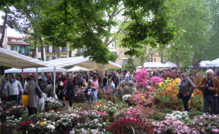 Mercato di piante al giardino dell'Orticoltura
