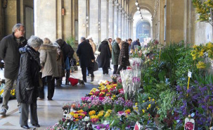 Mercato delle piante - Pellicceria