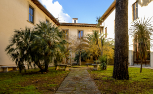 Cortile degli aranci