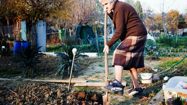 orti sociali villa bracci.jpg