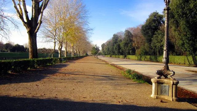 viale del parco delle Cascine