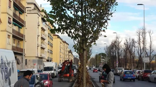 area verde Salvi Cristiani.jpeg