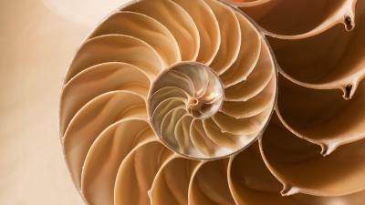 Fibonacci