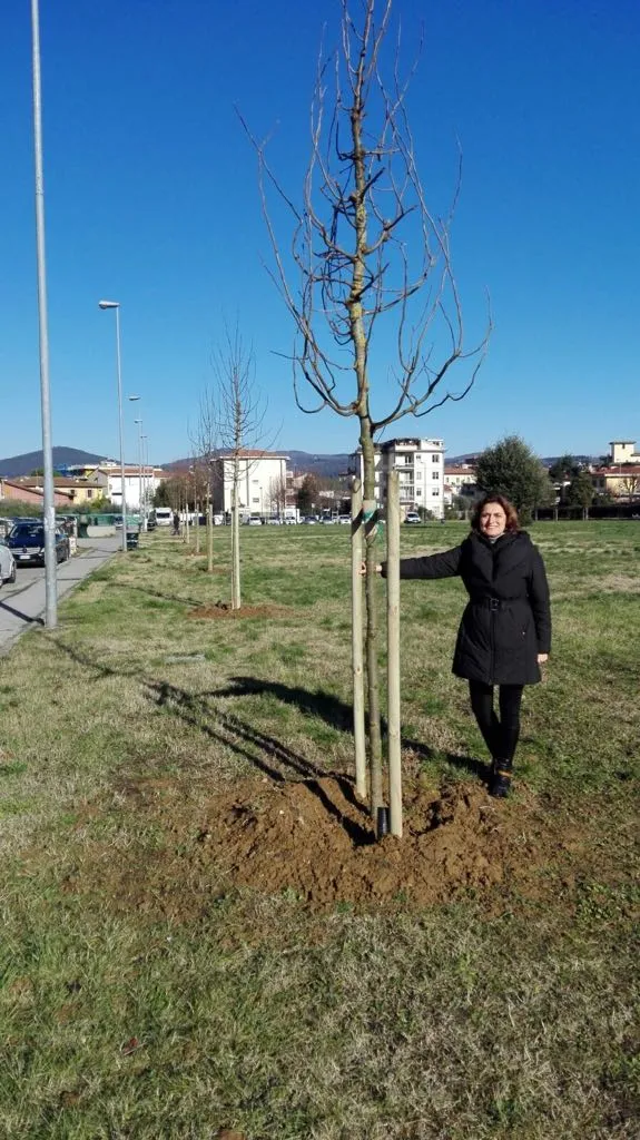 Bandino_29dic17_1.jpg