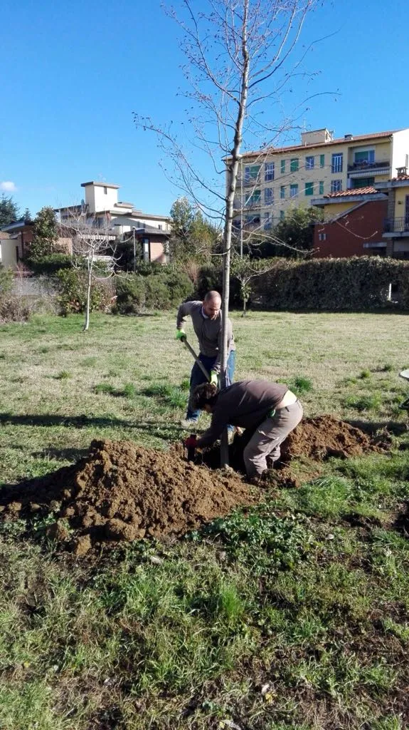 Bandino_29dic17_3.jpg