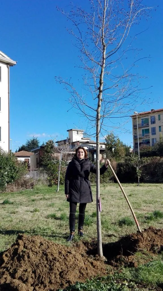 Bandino_29dic17_4.jpg