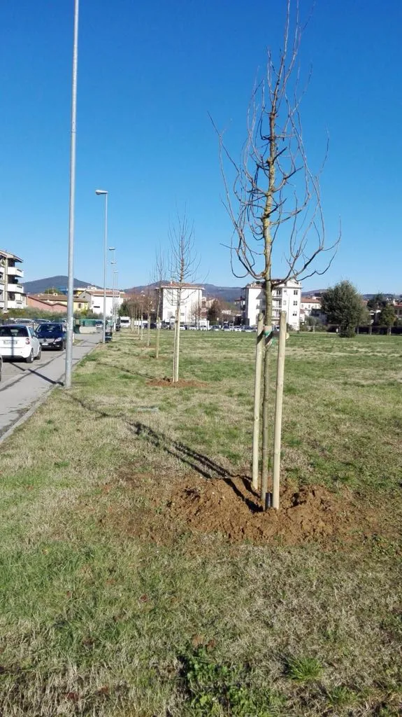Bandino_29dic17_6.jpg