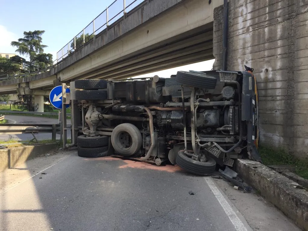 camion 1.jpeg