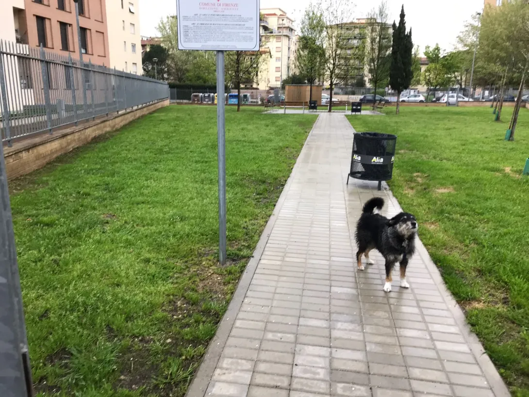 Cani_1.jpg Cani_1.jpg