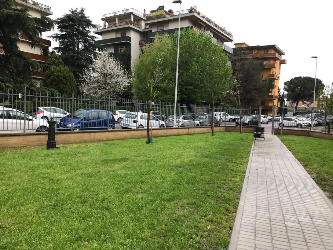 Cani_3.jpg Cani_3.jpg