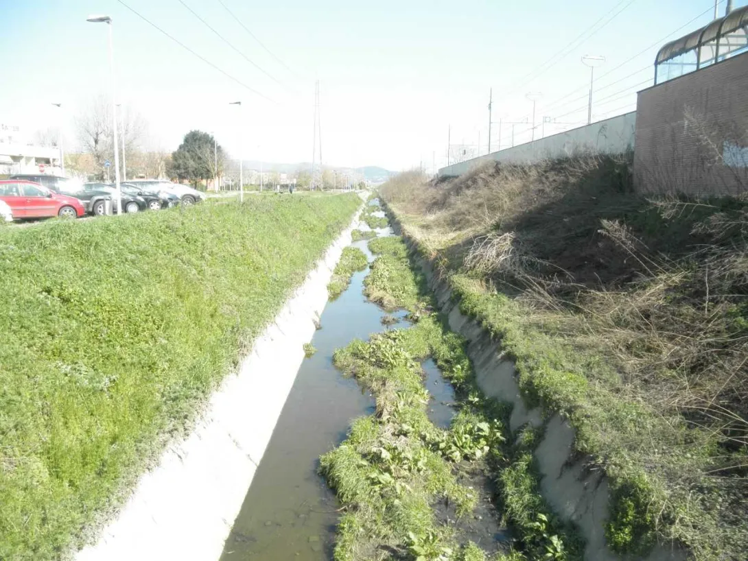 Goricina_3.jpg