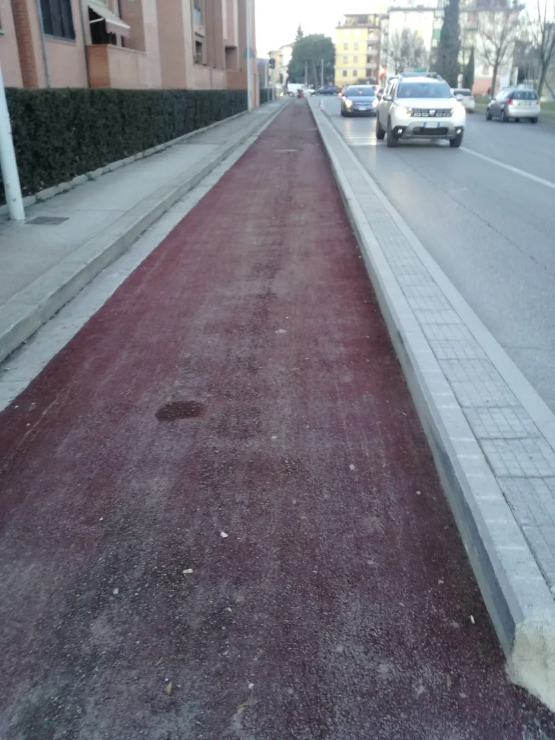 pampaloni1.jpg