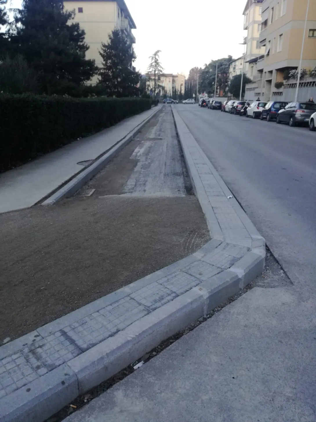 pampaloni2.jpg