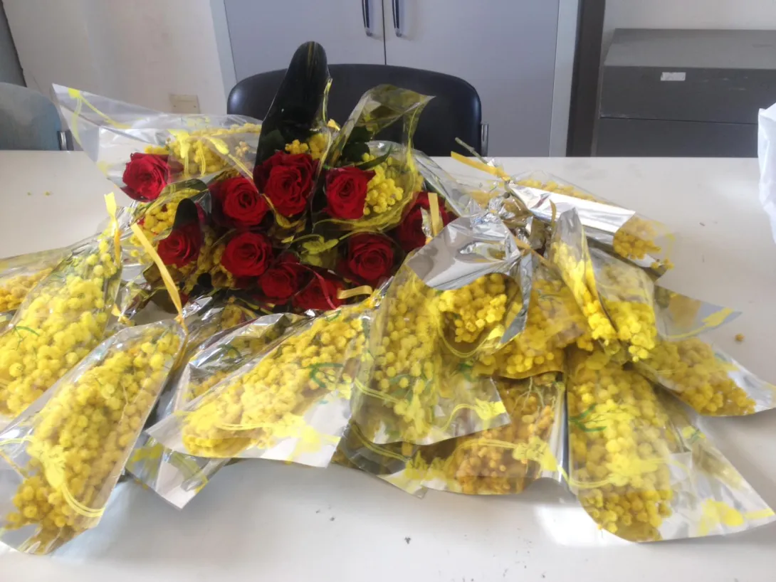IMG-20190308-WA0057.jpg