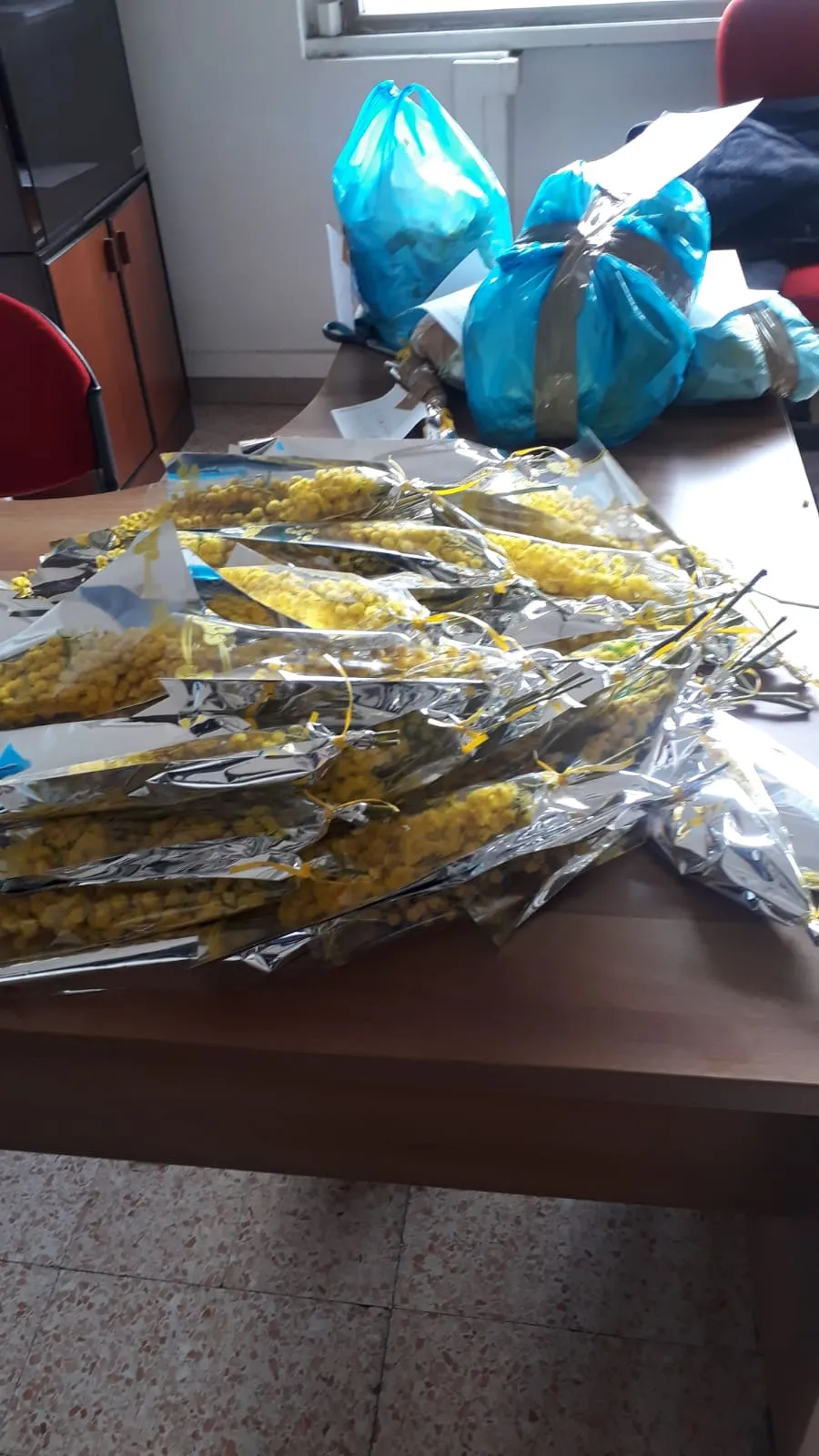 IMG-20190308-WA0059.jpg