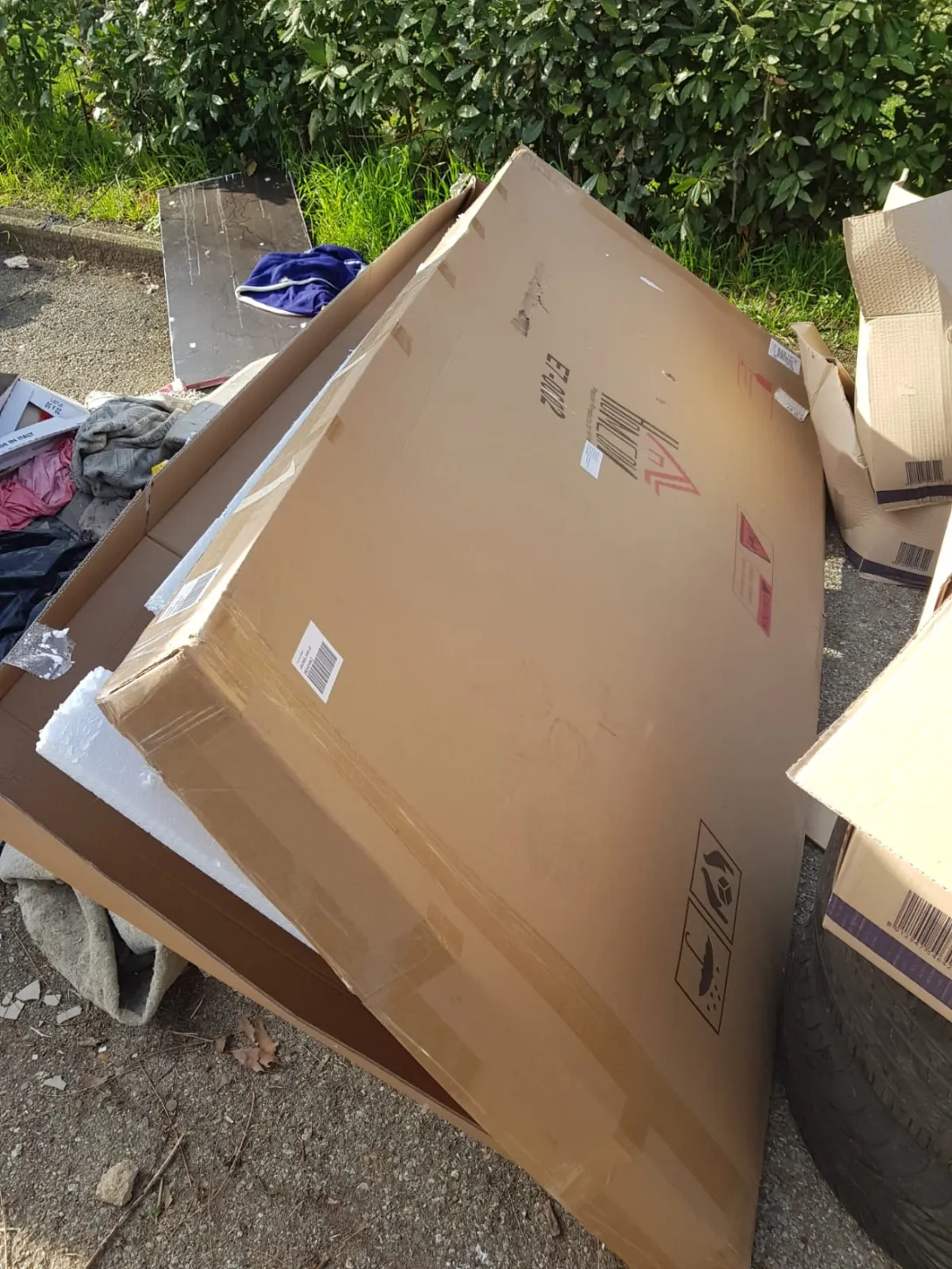 IMG-20190315-WA0102.jpg
