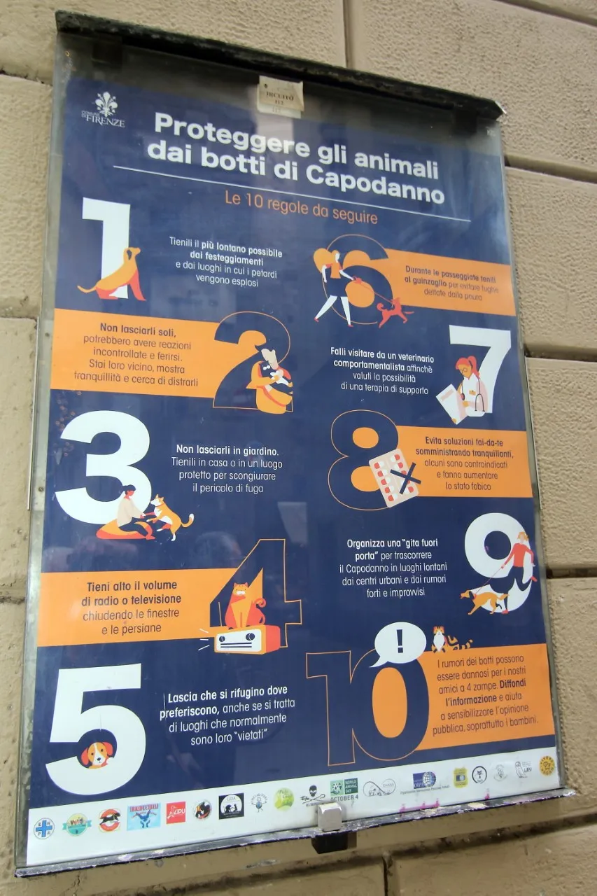botti2.jpg