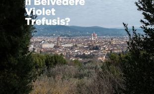 belvedere trefusis 1