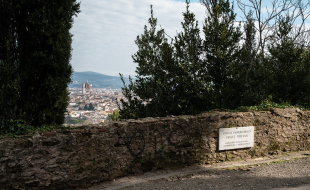 belvedere trefusis 2
