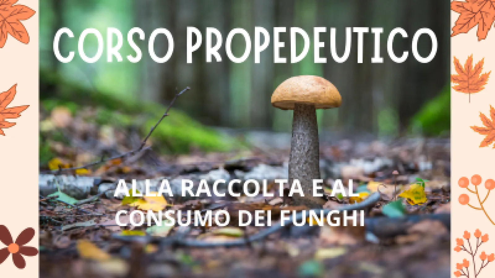 Quartieri
