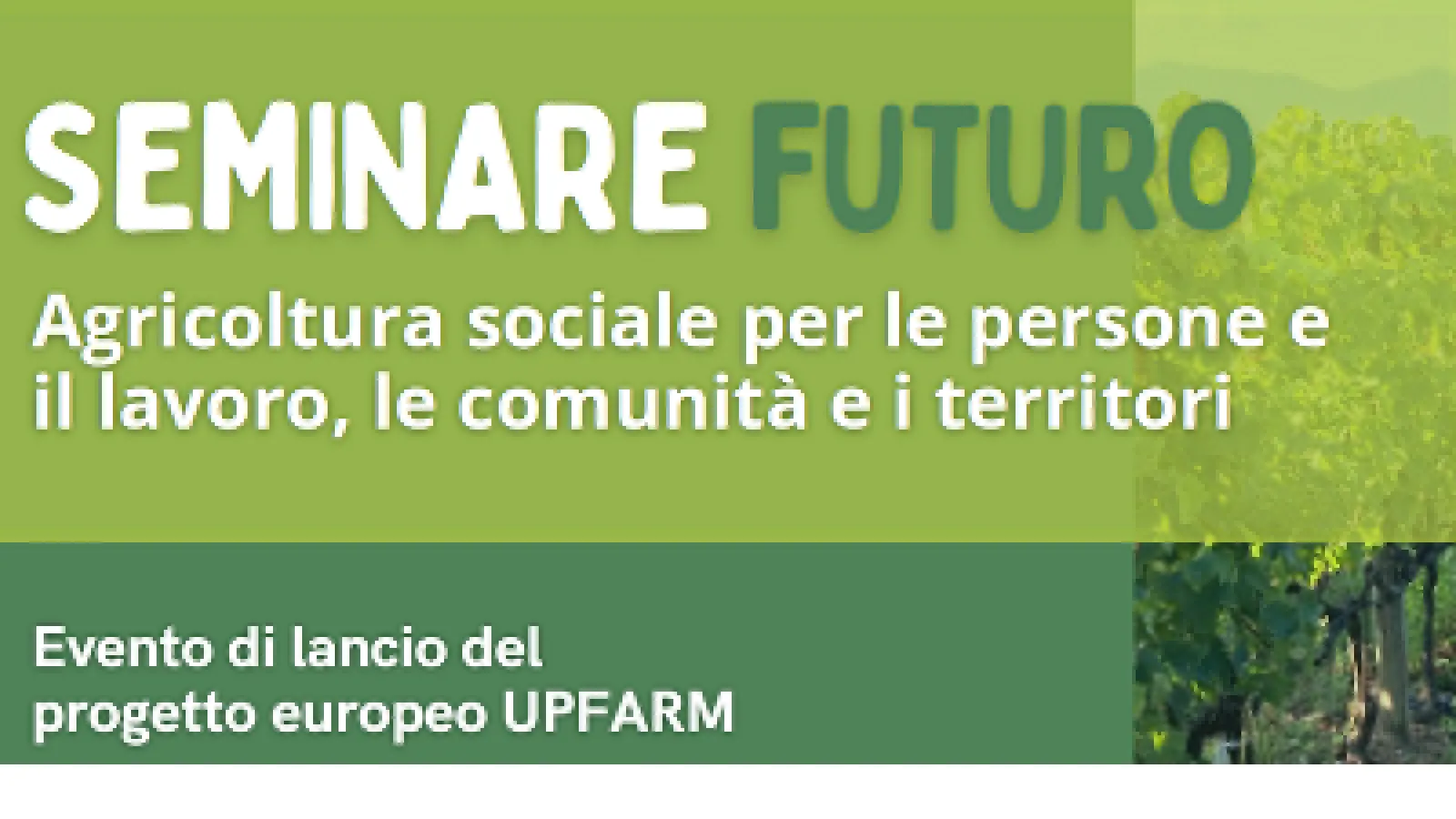 Europe Direct Firenze