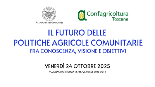 Europe Direct Firenze