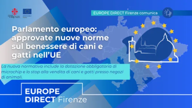 Europe Direct Firenze