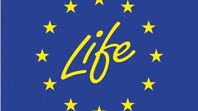 logo istituzionale