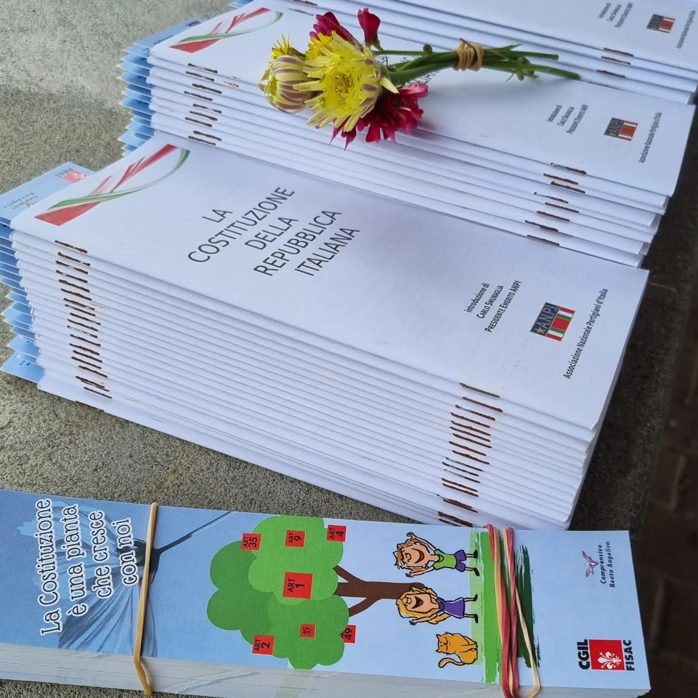 Alberi, Costituzione, Lavoro al Quartiere 5 Alberi, Costituzione, Lavoro al Quartiere 5