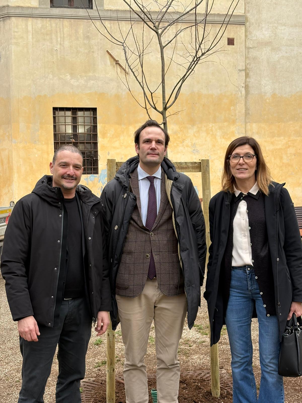 Un albero per Alessandro Chelazzi Un albero per Alessandro Chelazzi