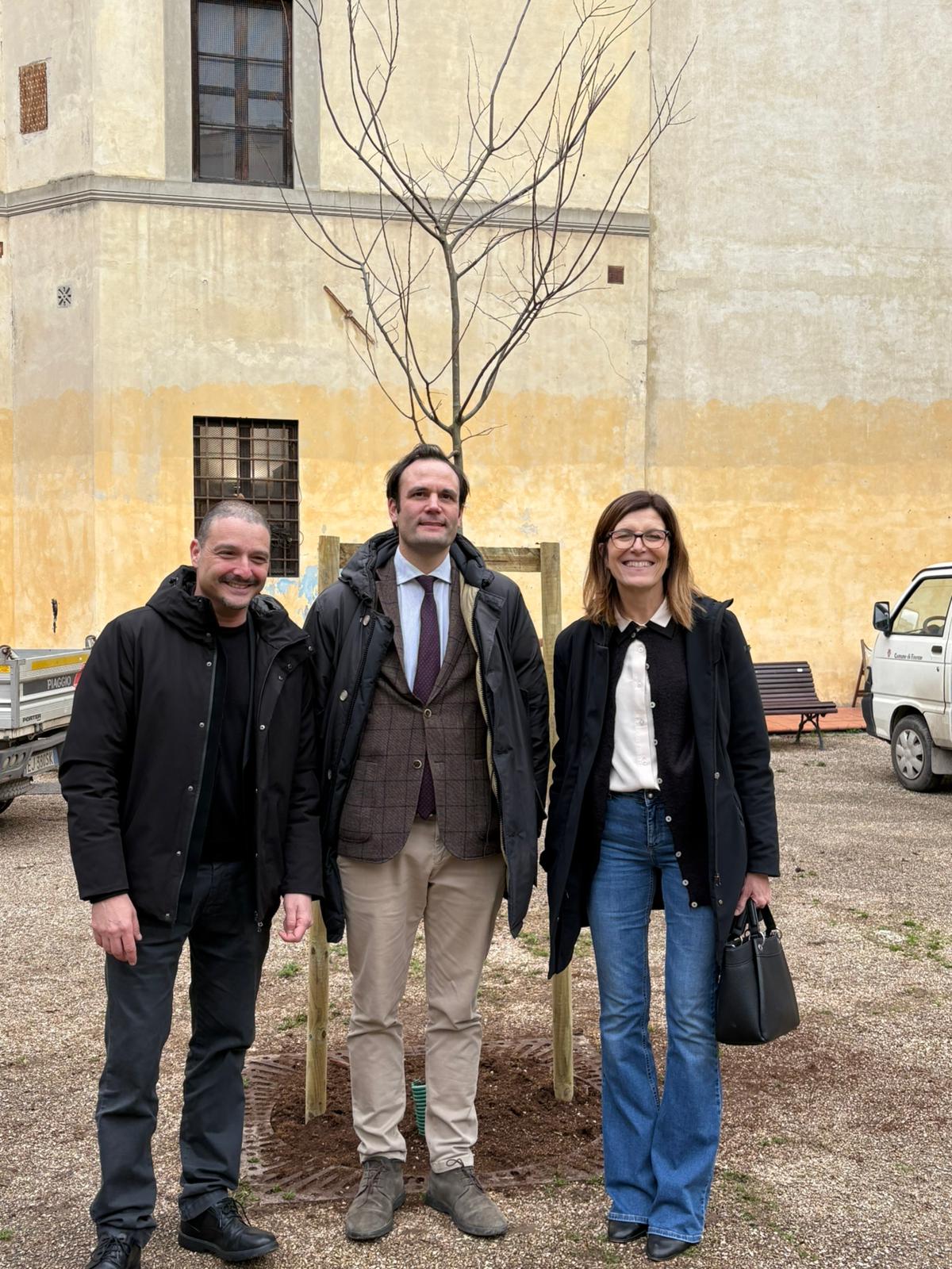 Un albero per Alessandro Chelazzi Un albero per Alessandro Chelazzi